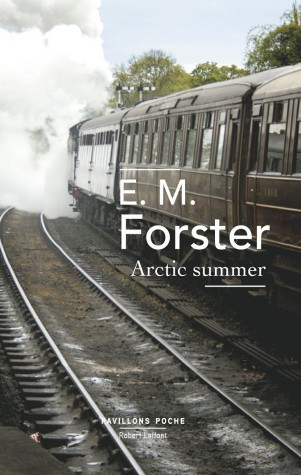 arcticsummer.jpg