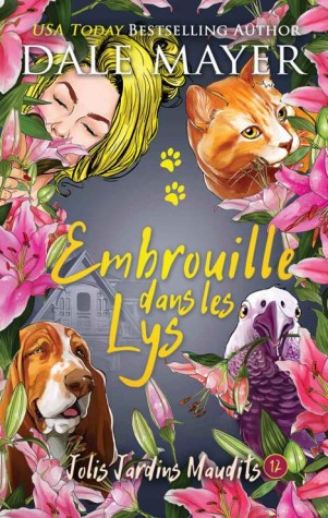 embrouilledansleslys.jpg